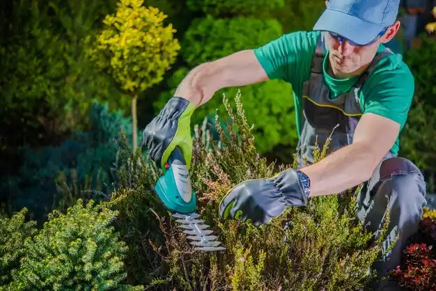 landscaping services Teaticket